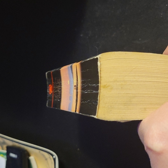 Blood of the Fold(Sword of Truth series, Book 3) - Picture 3 of 4